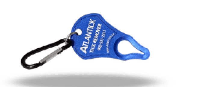 ATLANTICK Atlantick Tick Removal Key