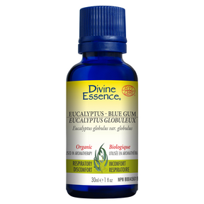 DIVINE ESSENCE Eucalyptus - Blue Gum (Organic)