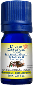 DIVINE ESSENCE Spikenard (Nard) (Organic)