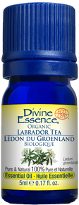 DIVINE ESSENCE Labrador Tea Organic