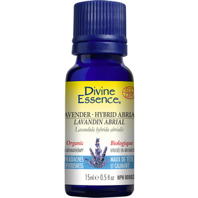 DIVINE ESSENCE Lavender Hybrid - Abrial (Organic)