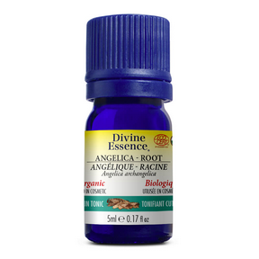 DIVINE ESSENCE Angelica - Root (Organic)
