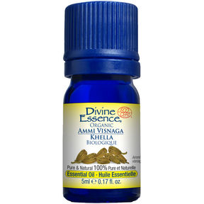 DIVINE ESSENCE Ammi Visnaga (Khella) (Organic)