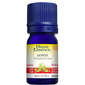 DIVINE ESSENCE Ajowan (Organic)