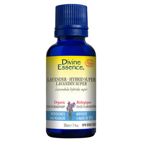 DIVINE ESSENCE Lavender Hybrid Super (Organic)