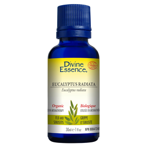 DIVINE ESSENCE Eucalyptus Radiata (Organic)