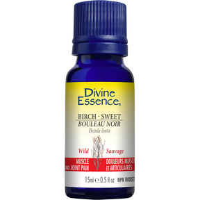 DIVINE ESSENCE Birch - Sweet (Wild)