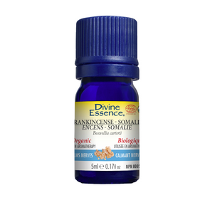 DIVINE ESSENCE Frankincense (Somalia) (Organic)