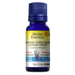 DIVINE ESSENCE Lavander - Hybrid Grosso (Organic)