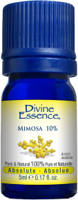 DIVINE ESSENCE Mimosa 10% Conv.